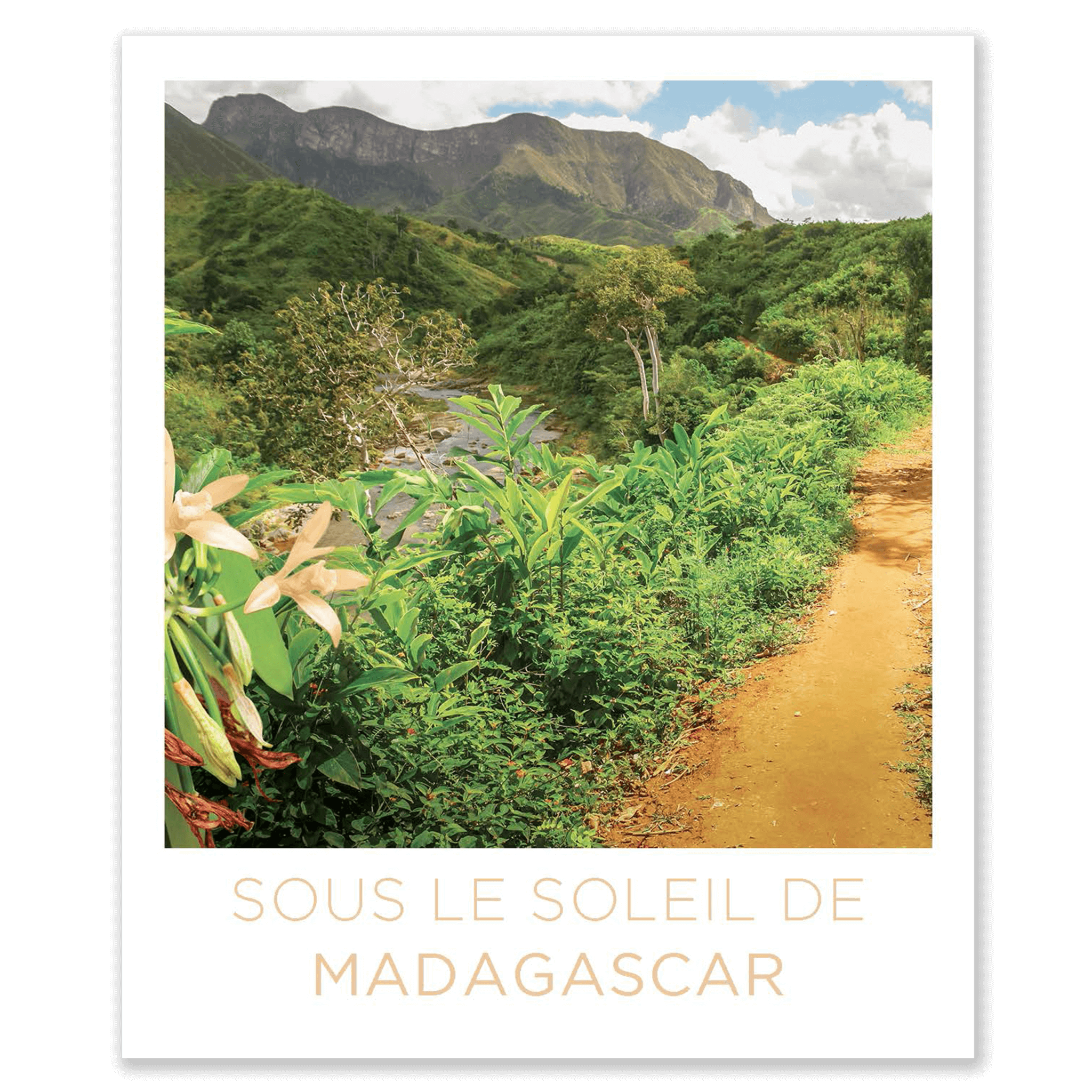 Sous le soleil de Madagascar (30 ml)