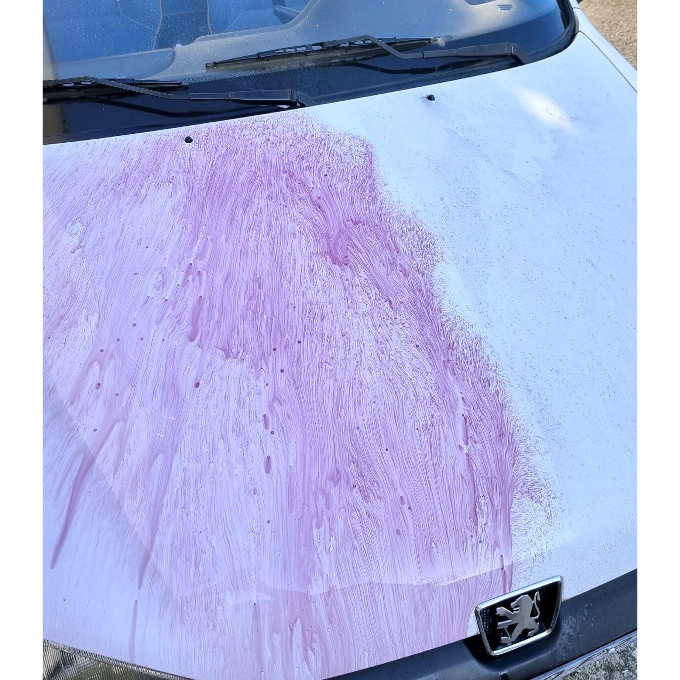 Iron X (500 ml)