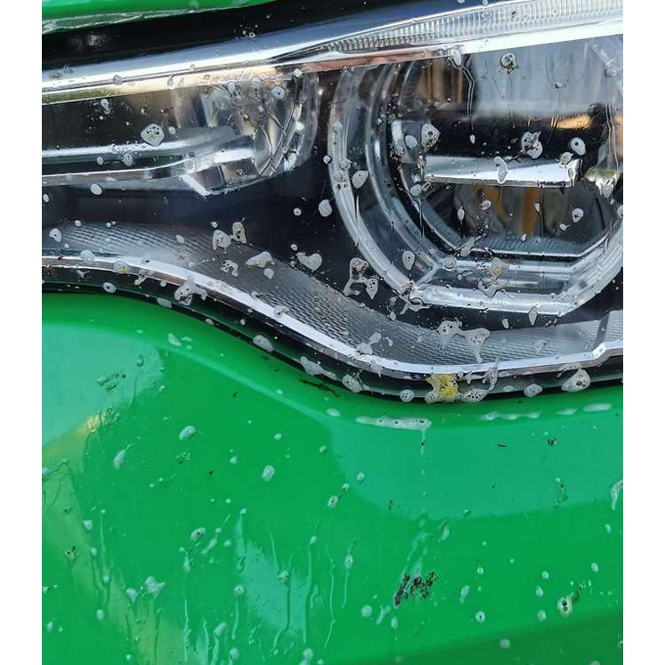 Bug-Out (1L)