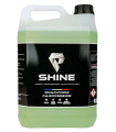 Shampoing Carrosserie (5L)