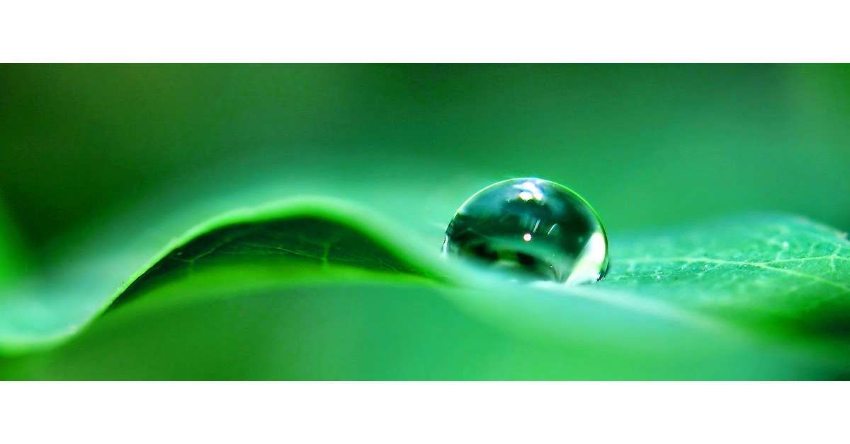 Hydrophobe, effet lotus ou déperlant, surface autonettoyante : De quoi parle-t-on exactement ?