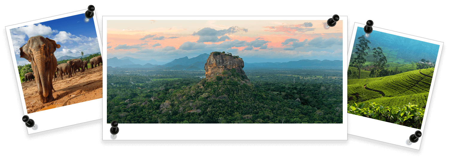 IMAO parfums - Découverte du Sri-Lanka